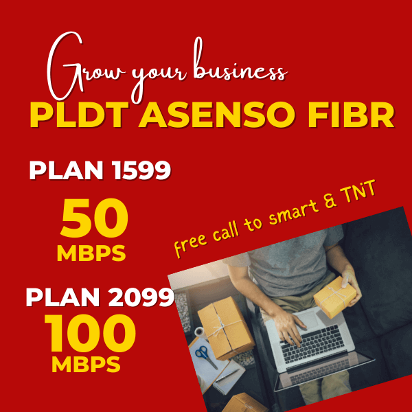 pldt fibr business plan